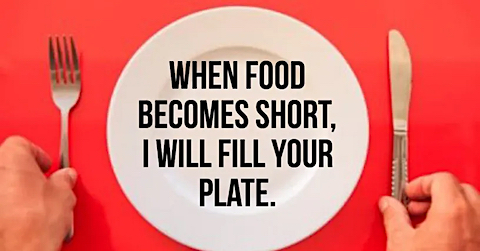 image Your Empty Plate, I will fill