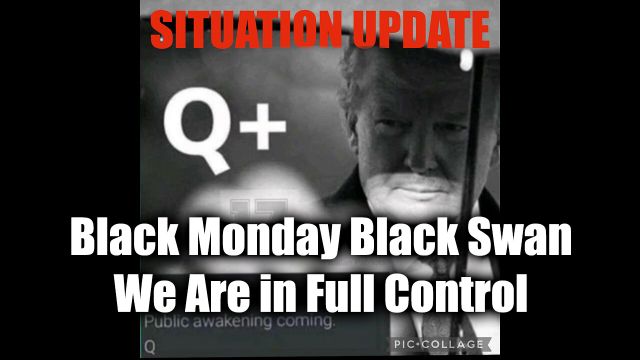 WTPN Situation Update: Black Monday Black Swan - We Are in Full Control 2024